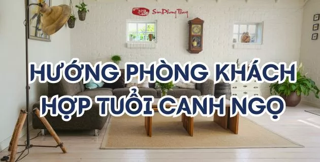 màu hợp tuổi 1989