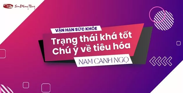 tử vi tuổi canh ngọ năm 2025 nam mạng