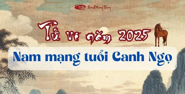 tử vi tuổi canh ngọ nam mạng năm 2025