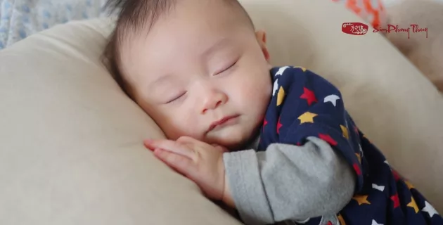 1990 sinh con năm nào hợp