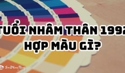 Người tuổi thân 1992 hợp màu gì năm 2025 để chọn màu sơn, màu xe