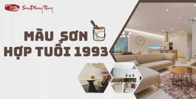 màu hợp tuổi 1993