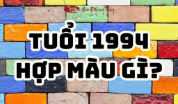 Tuổi Giáp Tuất hợp màu gì? Ứng dụng màu hợp tuổi 1994 năm 2025
