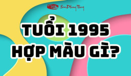Tuổi Ất Hợi hợp màu gì? Chọn màu xe, màu sơn hợp tuổi Ất Hợi?