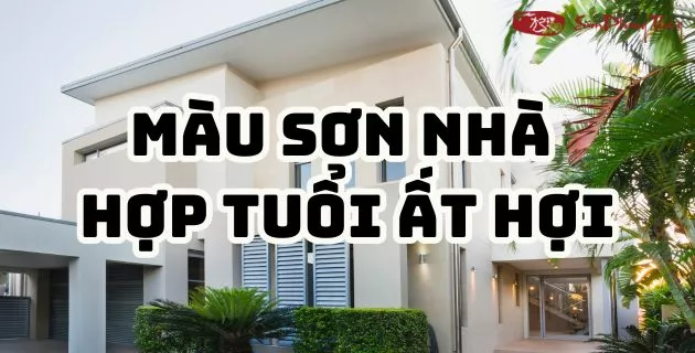 màu hợp tuổi 1995