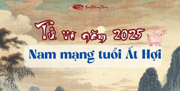 tử vi tuổi ất hợi nam mạng năm 2025