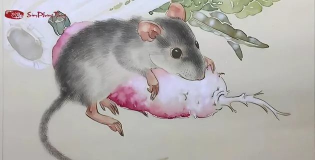 tử vi tuổi bính tý nam mạng năm 2025