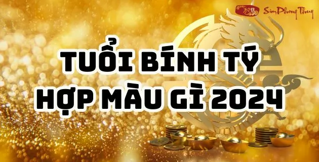1996 hợp màu gì