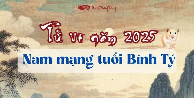 tử vi tuổi bính tý nam mạng năm 2025