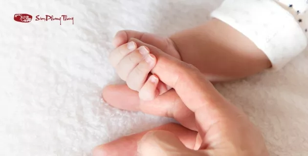 1996 sinh con năm nào hợp