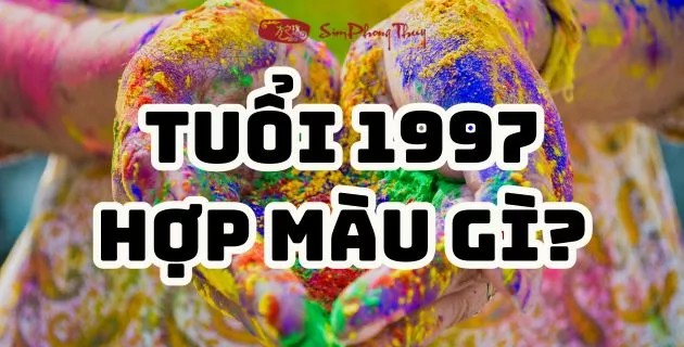 1997 hợp màu gì