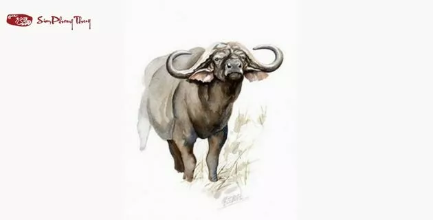 tử vi tuổi đinh sửu nam mạng năm 2025