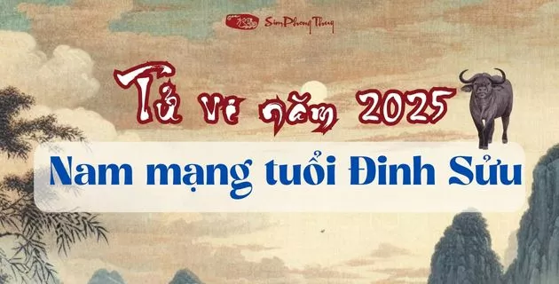 tử vi tuổi đinh sửu nam mạng năm 2025
