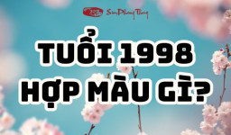 Nam nữ Mậu Dần hợp màu gì? Chọn màu xe hợp tuổi 1998?