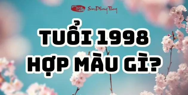1998 hợp màu gì