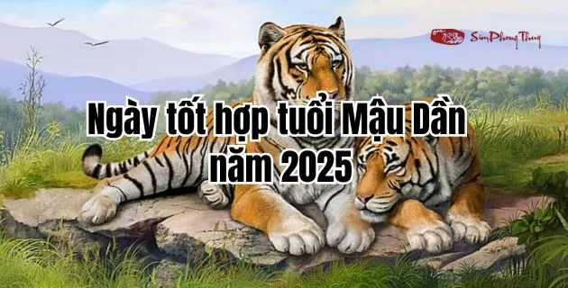 ngày hợp tuổi mậu dần