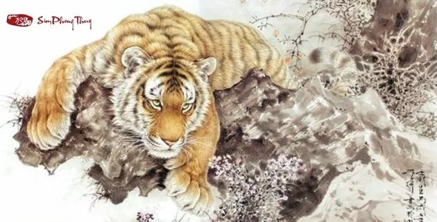 tử vi tuổi mậu dần nam mạng năm 2025