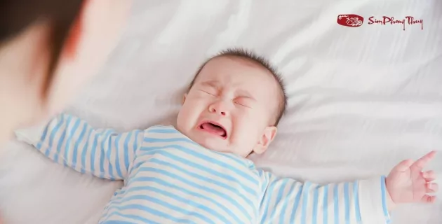 1998 sinh con năm nào hợp