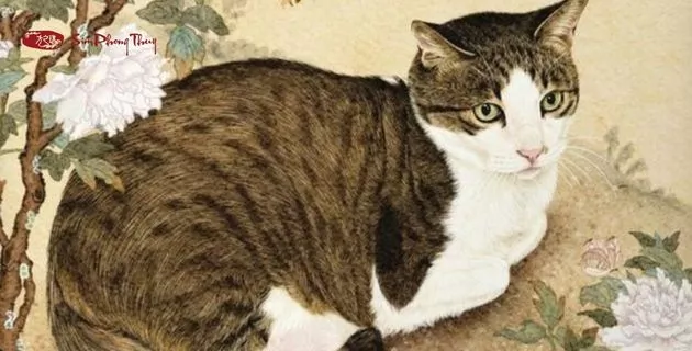 tử vi tuổi kỷ mão nam mạng năm 2025