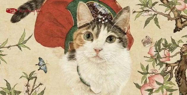 tử vi tuổi kỷ mão nam mạng năm 2025