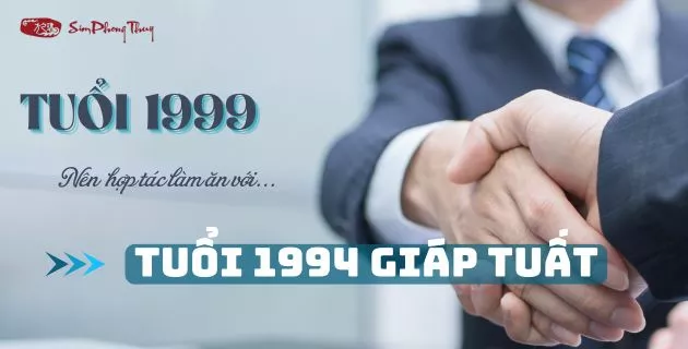 tử vi tuổi kỷ mão nam mạng năm 2025