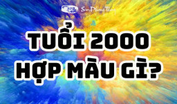 Tuổi 2000 hợp màu gì? Ứng dụng màu hợp Canh Thìn trong phong thủy