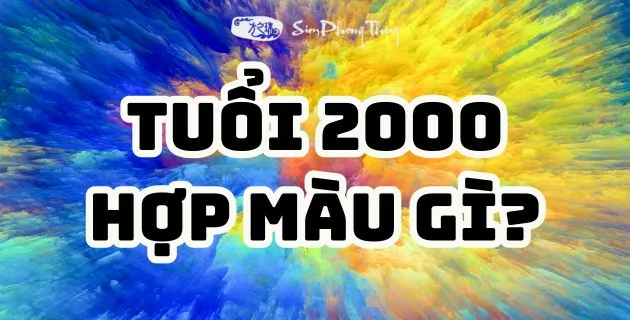 2000 hợp màu gì