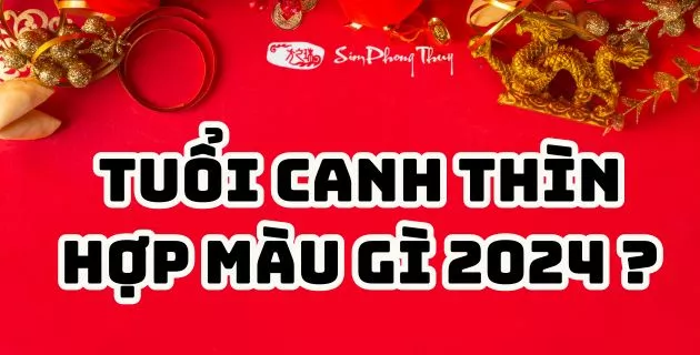 2000 hợp màu gì