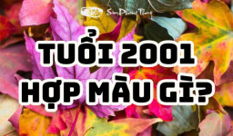 Sinh năm 2001 tuổi Tân Tỵ hợp màu gì năm 2025 chuẩn phong thủy