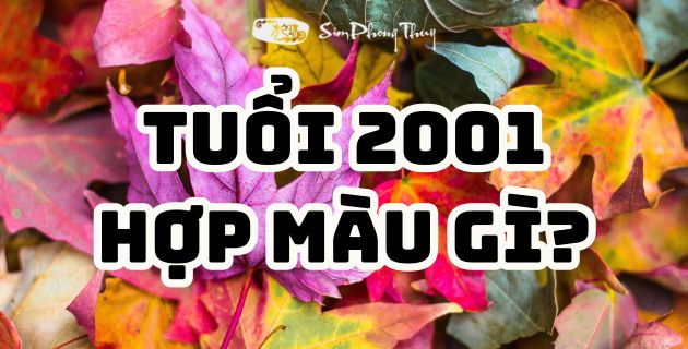 Sinh năm 2001 tuổi Tân Tỵ hợp màu gì năm 2025 chuẩn phong thủy