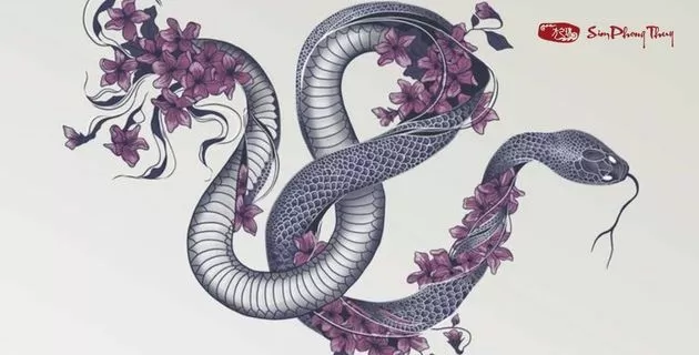 tử vi tuổi tân tỵ nữ mạng năm 2025