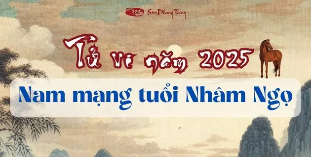 tử vi tuổi nhâm ngọ nam mạng năm 2025