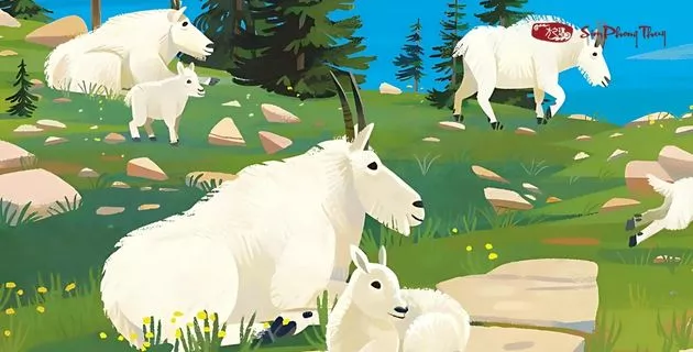 tử vi tuổi quý mùi nam mạng năm 2025