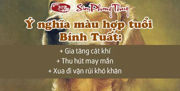 màu hợp tuổi 2006