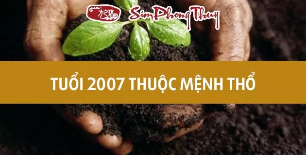 màu hợp tuổi 2007