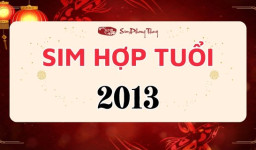 Sim phong thủy hợp tuổi 2013