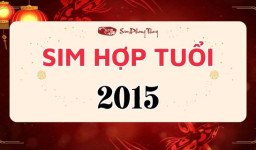 Sim phong thủy hợp tuổi 2015