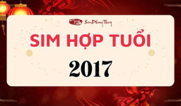Sim phong thủy hợp tuổi 2017