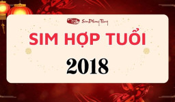 Sim phong thủy hợp tuổi 2018
