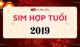 Sim phong thủy hợp tuổi 2019