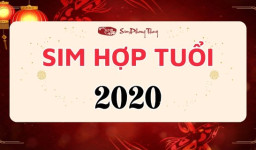 Sim phong thủy hợp tuổi 2020
