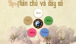 LUẬN NGŨ HÀNH BẢN MỆNH THÂN CHỦ VÀ DÃY SỐ