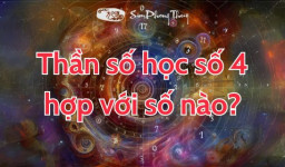 Thần số học số 4 hợp với số nào? Con số của nguyên tắc và minh bạch