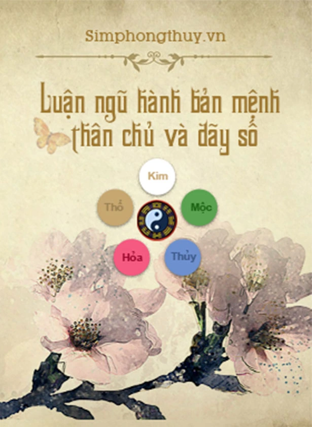 LUẬN NGŨ HÀNH BẢN MỆNH THÂN CHỦ VÀ DÃY SỐ