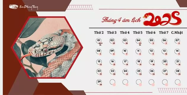 tử vi 2025 theo 12 tháng