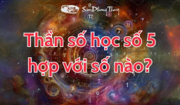 Thần số học số 5 hợp với số nào? Con số của sự phiêu lưu, tự do
