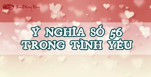 ý nghĩa số 56