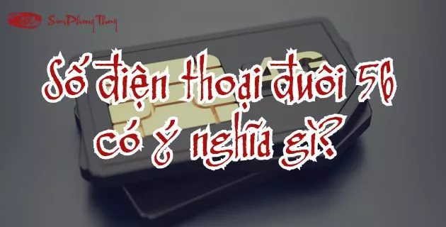 ý nghĩa số 56