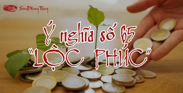 ý nghĩa số 65