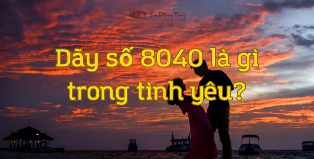 8040 là gì